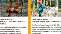 Apinamainen aarrejahti