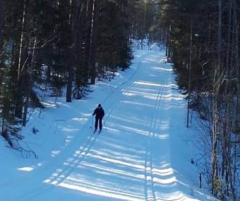 Koli, Lieksa