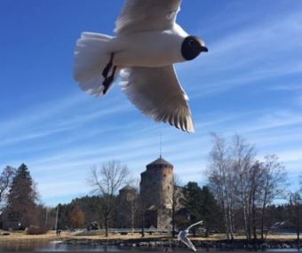 Olavinlinna Castle, Savonlinna